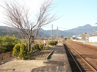 冬枯れ下大きな木と黄緑色のゴールドクレスト、そしてその前に造られた花壇でできたちょっとした庭。