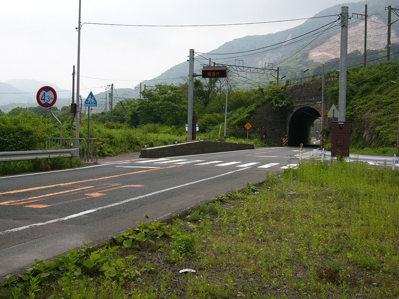 線路の短いトンネル、左は草むら。