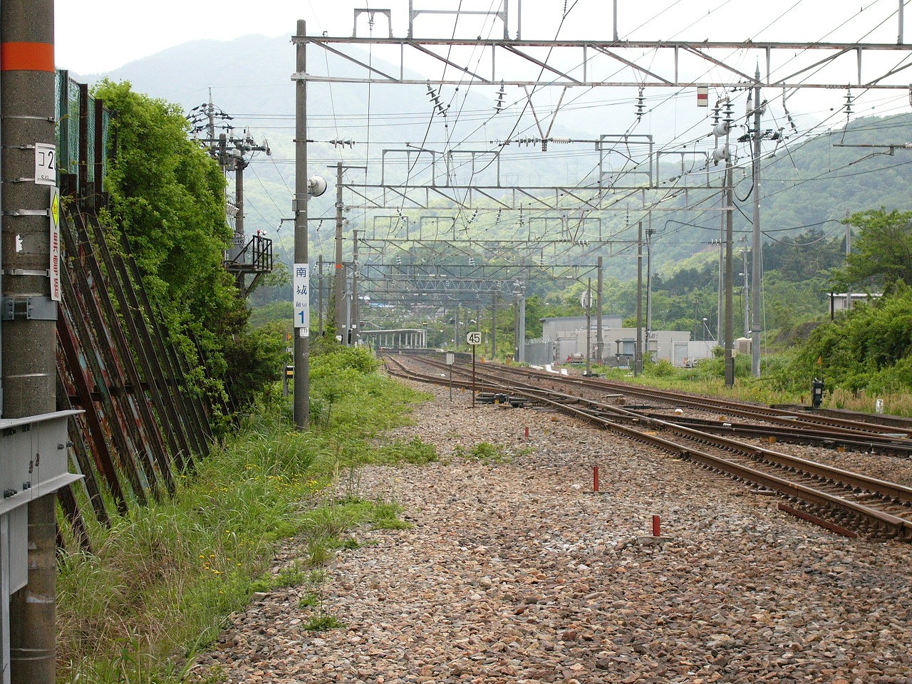 いくつかの分岐機が見える。ずっと奥の背景には高い山、両端は低木と草むら。