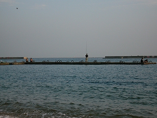 突堤中央の様子。