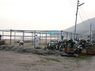 パイプで組んだ骨格の下で網を調整する人たち。