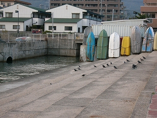 階段状になった船着場。はとがたくさんとまっている。