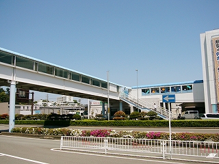 グリーンベルトのつつじの花がきれいだった。