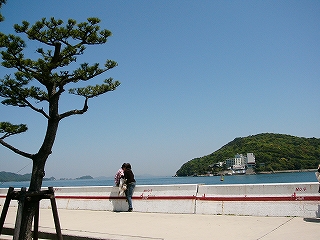 白い防波堤の向こうに海。