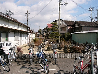 一段の低いコンクリートブロックで囲われた、土の入った庭のスペース。松とつつじの植え込みが一つずつある。庭の前には数台の自転車が停まっている。