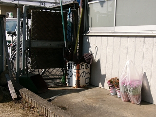 袋に入った新しい鉢植え。