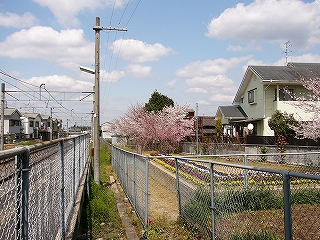 フェンスで囲われた公園。