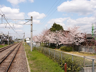 線路内と細長い公園。