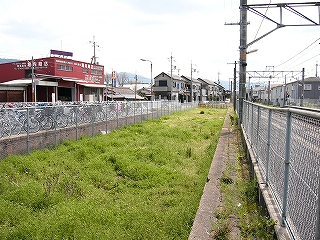 草の繁茂する貨物側線跡。