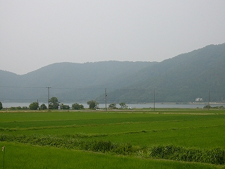 広がる田んぼ、薄く見える湖、そして奥には山。