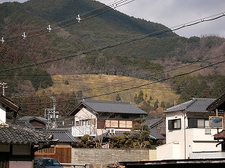 落葉した木々に覆われた高い丘。